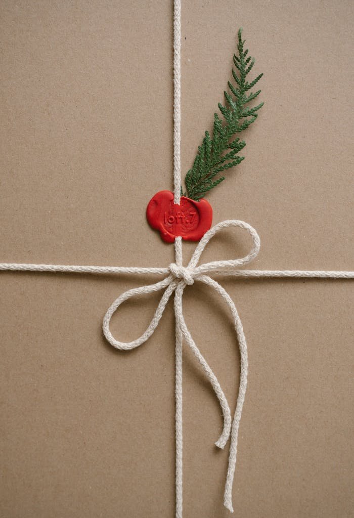 The Art of Drawing Readers In: Your attractive post title goes here A beautifully wrapped gift box with a red wax seal and evergreen sprig, perfect for the holiday season.
